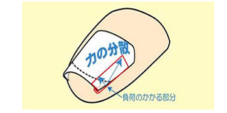 ペディグラスの特徴